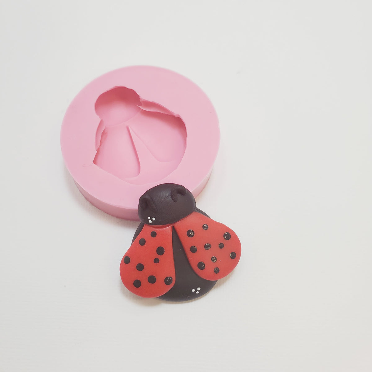 Ladybug Multi-Project Silicone Mold for Crafts Baking Resin MS186