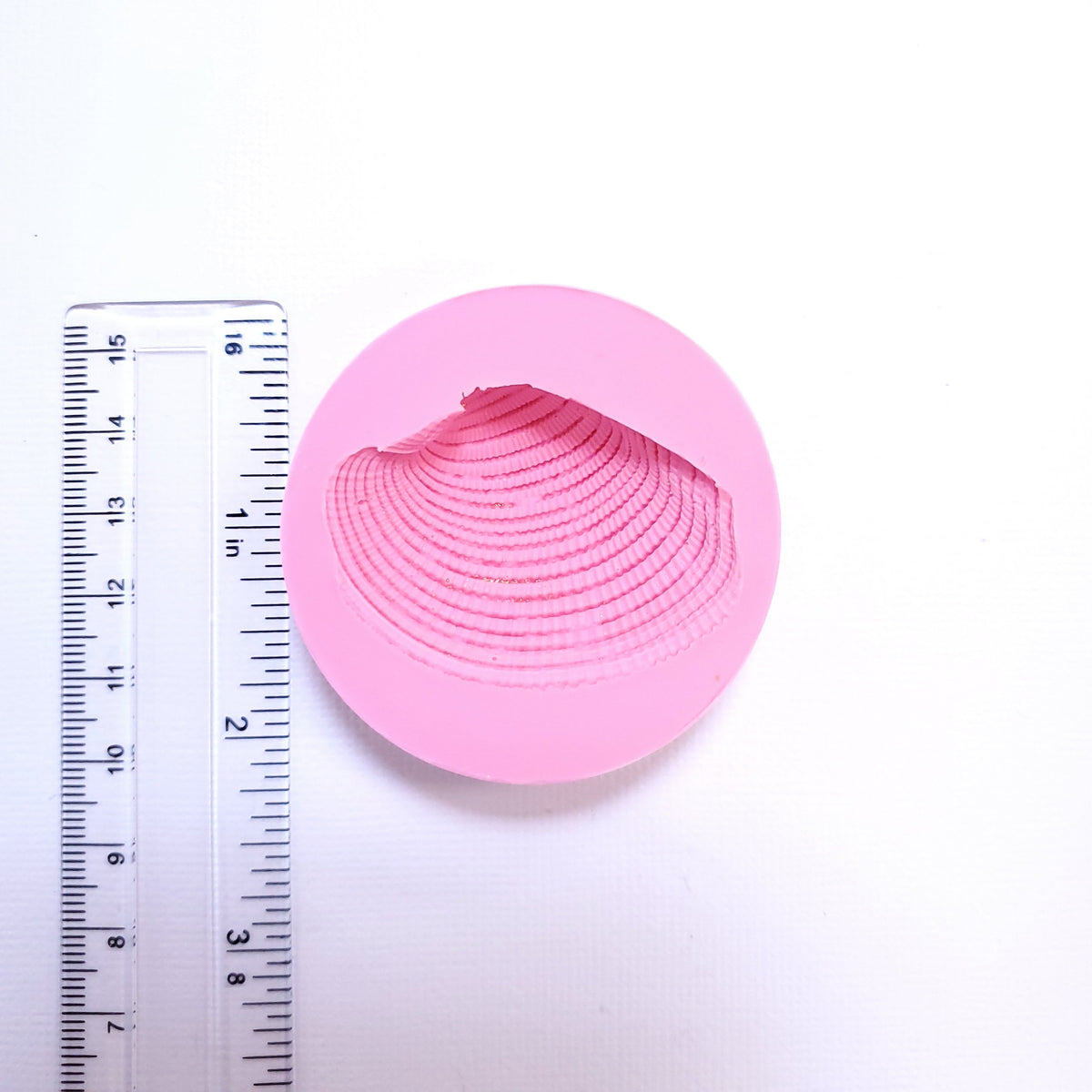Realistic Seashell Silicone Mold for Resin, Fondant, Clay, Jewelry, Miniatures